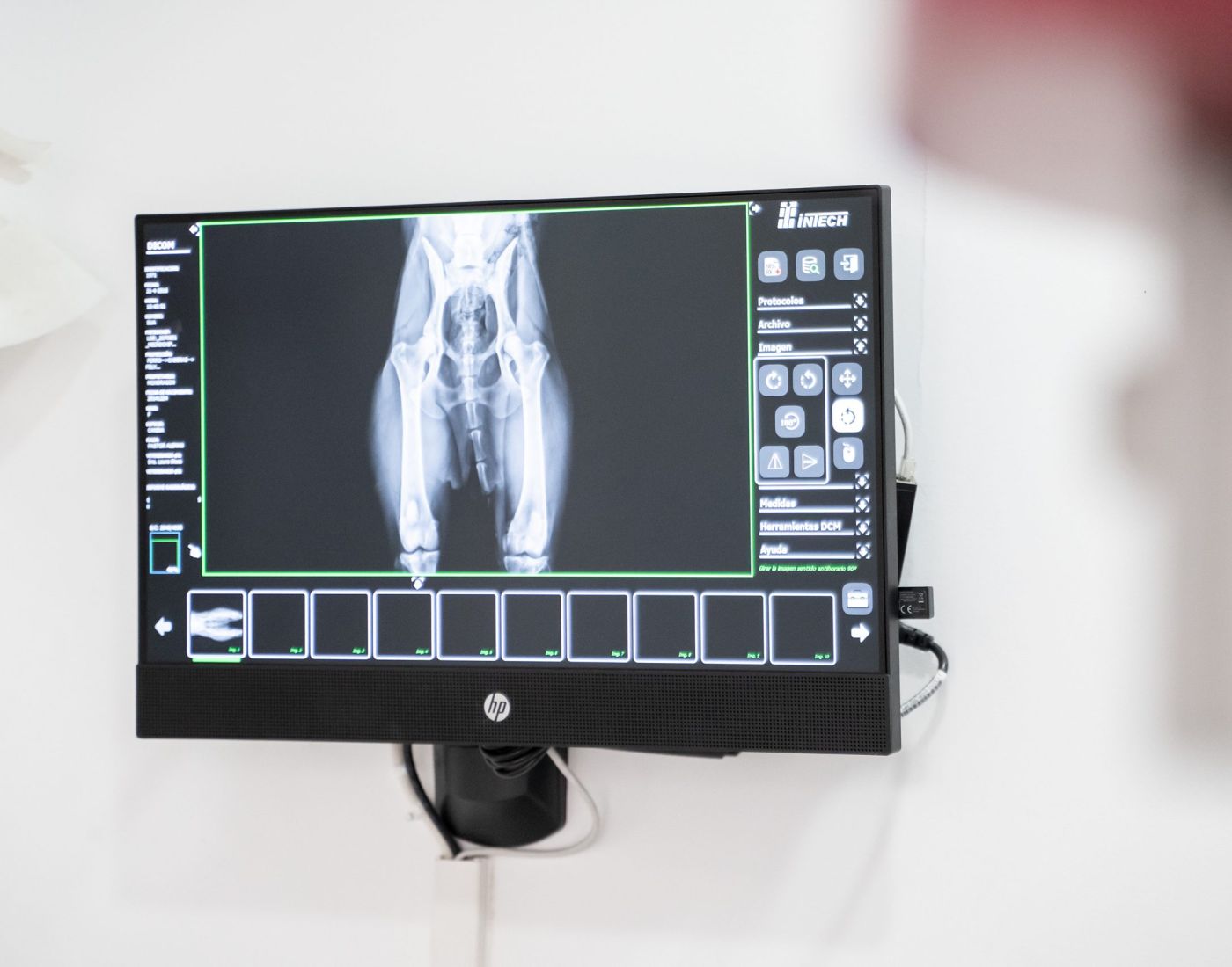 Animalicos - servicio radiología digital directa