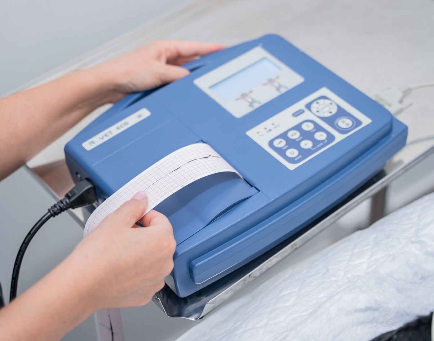 Animalicos - servicio electrocardiografía