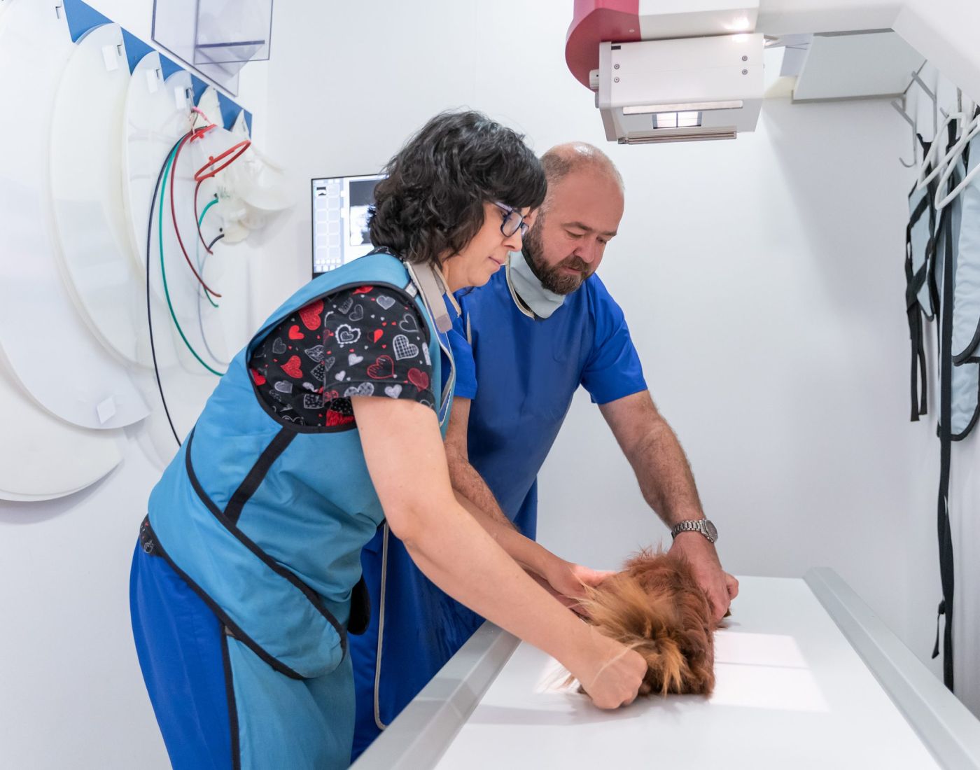 Animalicos - servicio radiología digital directa